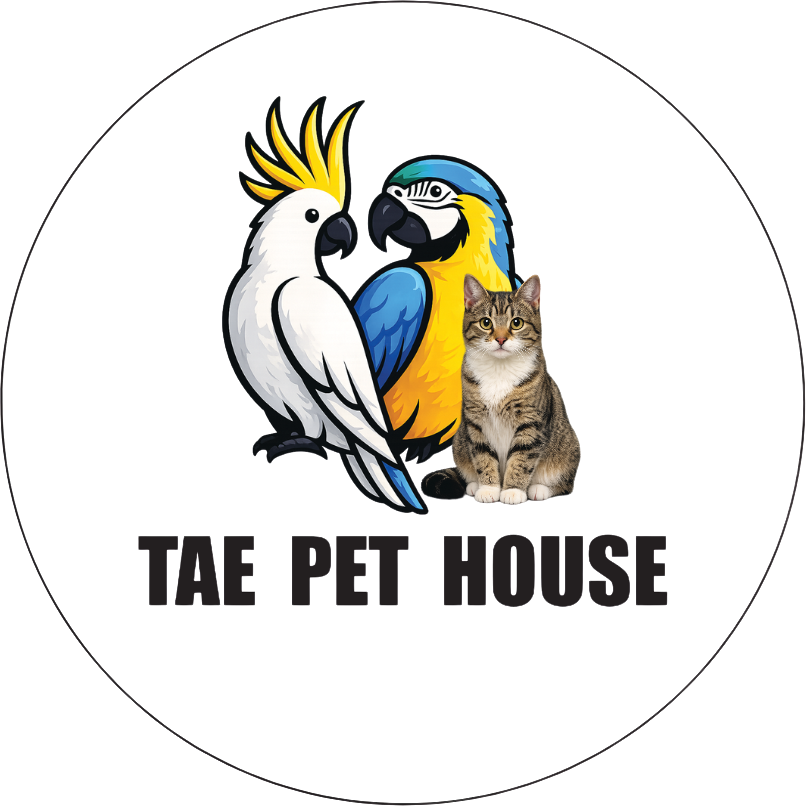 tea-pet-house