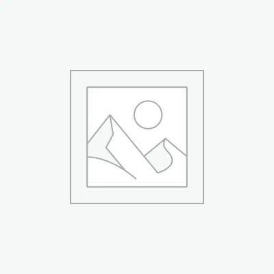 Royal Canin Persian Adult Cat Food